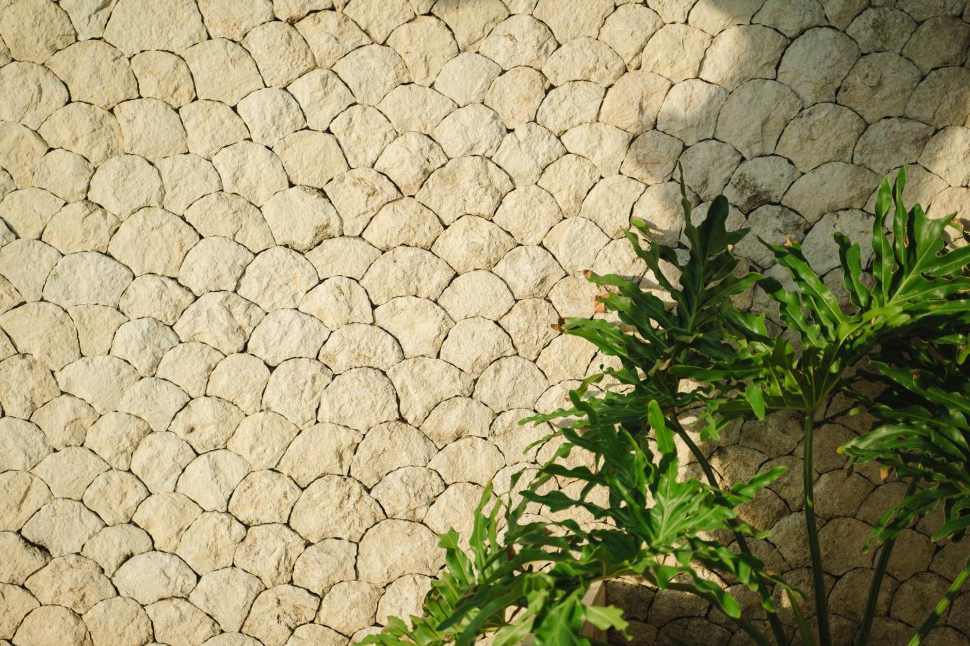 Isaiya Boutique Hotel Canggu Extérieur photo
